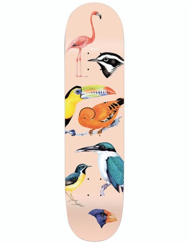 Quasi Birdhouse Two Skateboard Deck - 8.375" soldes