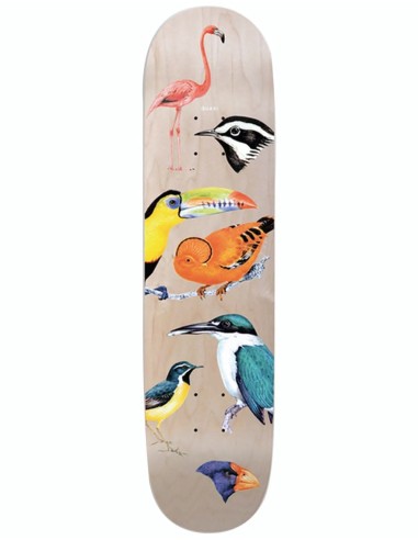 Quasi Birdhouse Three Skateboard Deck - 8.5" est présent 