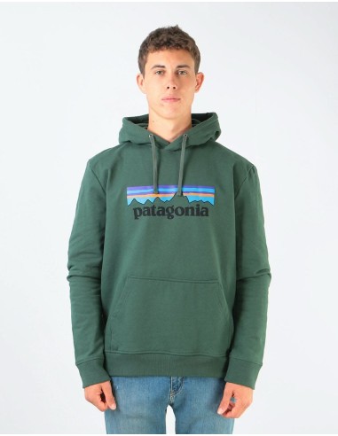 Patagonia P-6 Logo Uprisal Hoody - Alder Green les ligaments