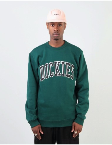 Dickies Mount Sherman Sweat - Forest de la marque