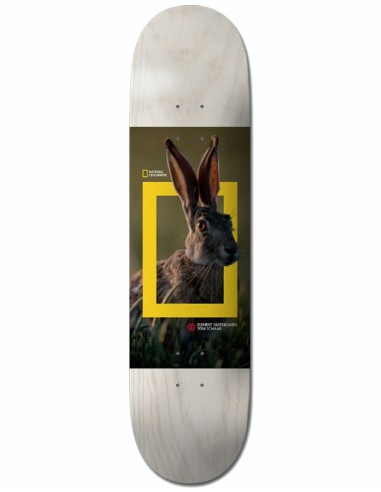 Element x National Geographic Schaar Hare Skateboard Deck - 8" français