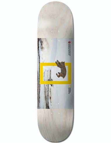 Element x National Geographic Westgate Cat Skateboard Deck - 8.125" Paris Déstockage Promo