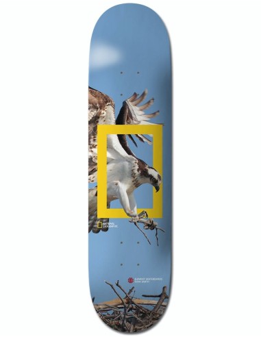 Element x National Geographic Evan Osprey Skateboard Deck - 8.25" Livraison rapide