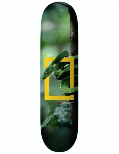 Element x National Geographic Julian Snake Skateboard Deck - 8.25" 50-70% off 