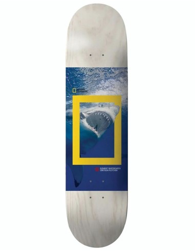 Element x National Geographic Greyson Shark Skateboard Deck - 8.5" suggérées chez